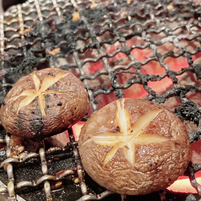 森の香り、湯気の向こうに——岩手のしいたけと、あの頃の食卓。
